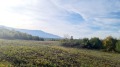Продава ПАРЦЕЛ, гр. София, с. Герман, снимка 3