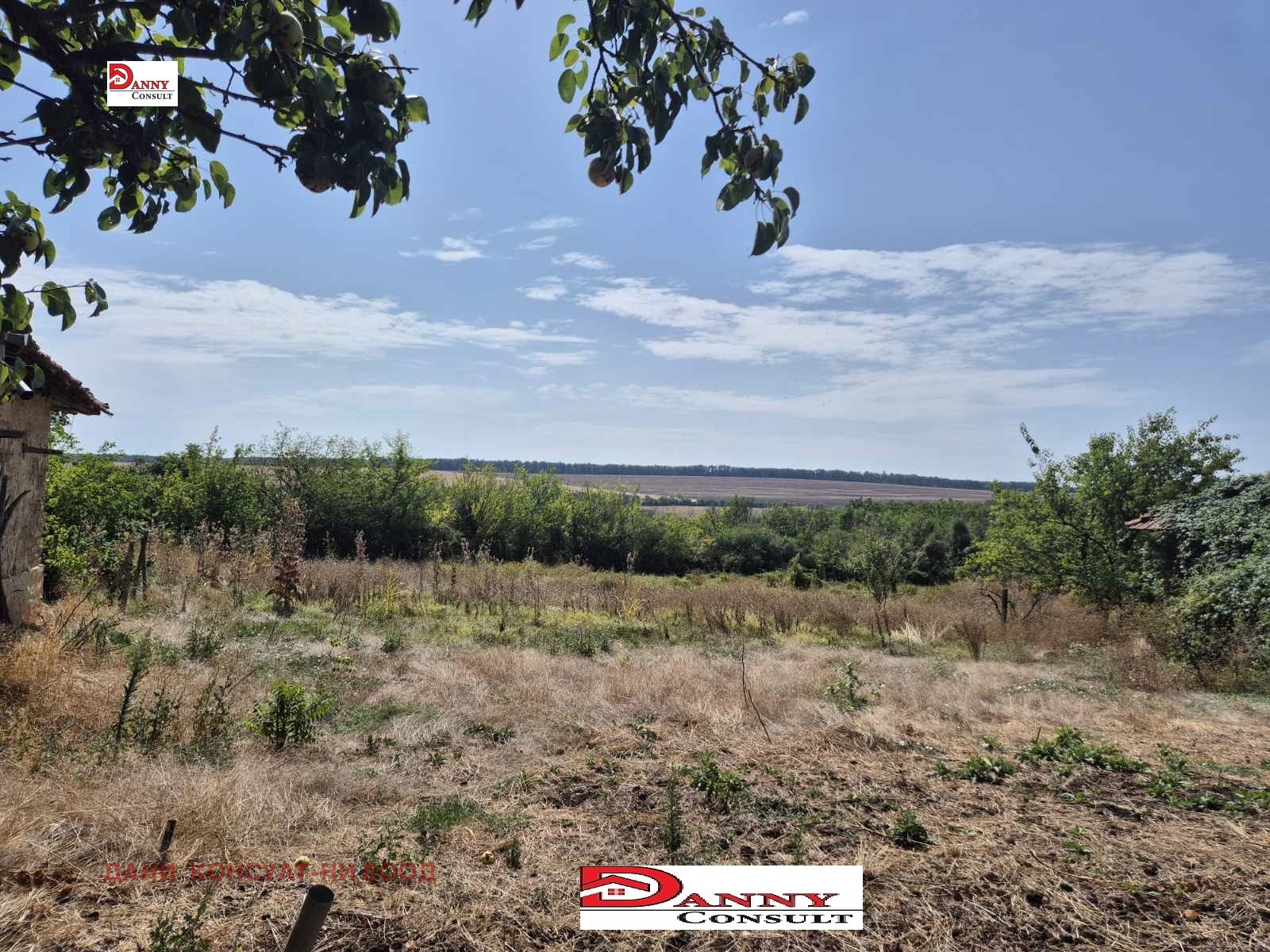 Продава КЪЩА, с. Стрелец, област Велико Търново, снимка 4 - Къщи - 55921715