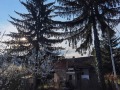 Продава ПАРЦЕЛ, с. Владо Тричков, област София област, снимка 4
