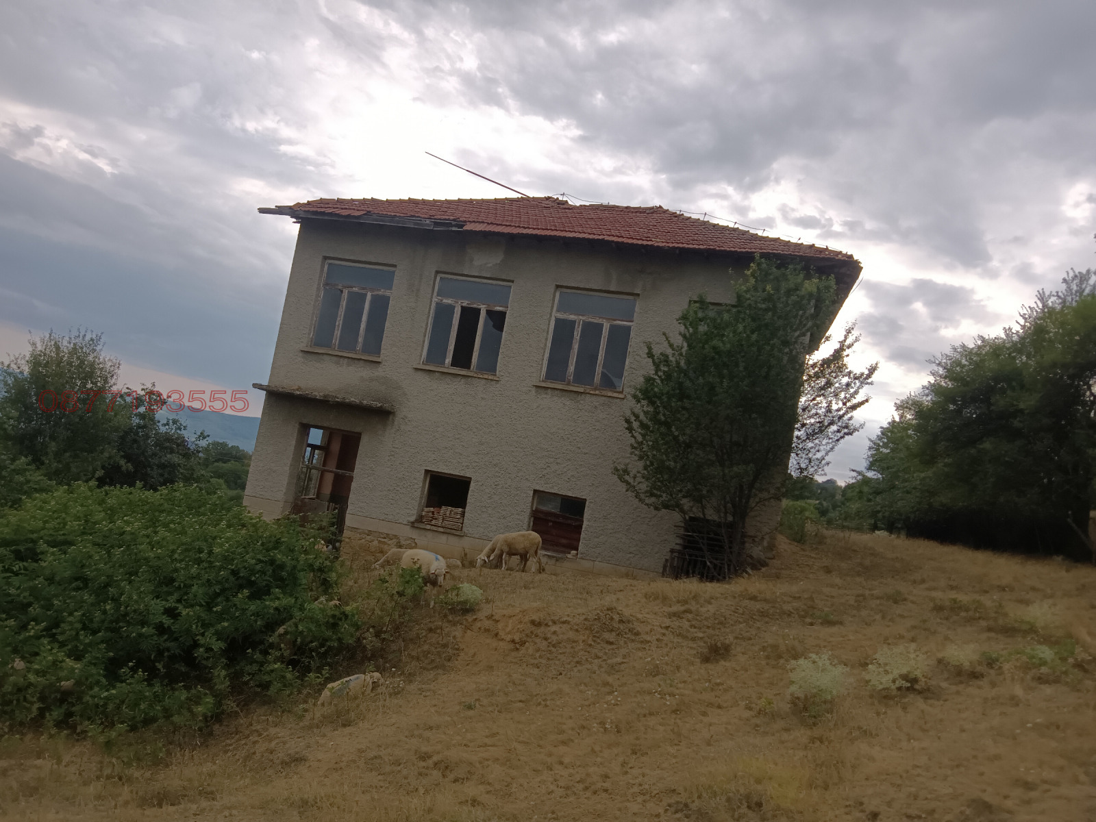 ������� ������������� ������ | Imot.bg � ����������� 3