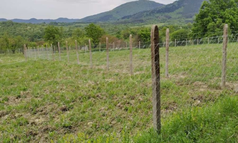 Продава ПАРЦЕЛ, гр. Елена, област Велико Търново, снимка 5 - Парцели - 52991533