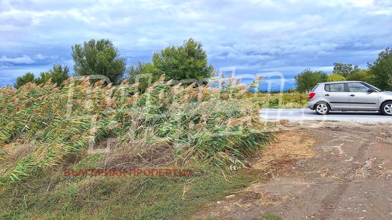 Продава ЗЕМЕДЕЛСКА ЗЕМЯ, с. Ягодово, област Пловдив, снимка 7 - Земеделска земя - 52000668