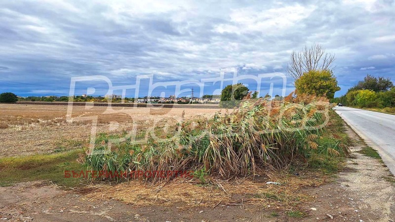 Продава ЗЕМЕДЕЛСКА ЗЕМЯ, с. Ягодово, област Пловдив, снимка 5 - Земеделска земя - 52000668