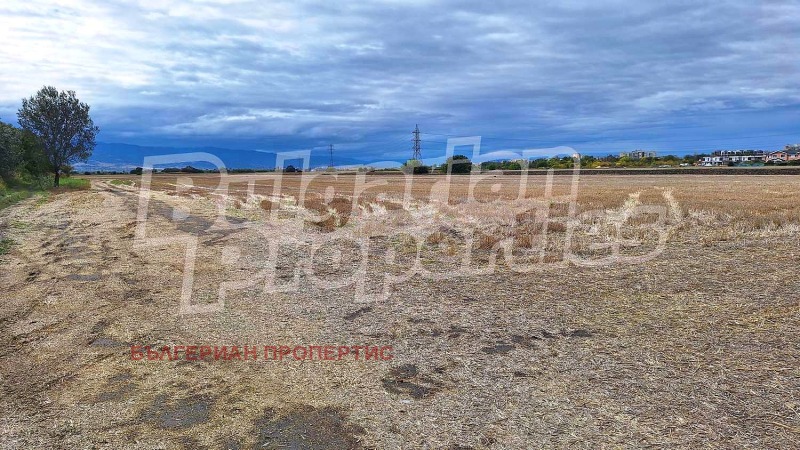 Продава ЗЕМЕДЕЛСКА ЗЕМЯ, с. Ягодово, област Пловдив, снимка 4 - Земеделска земя - 52000668