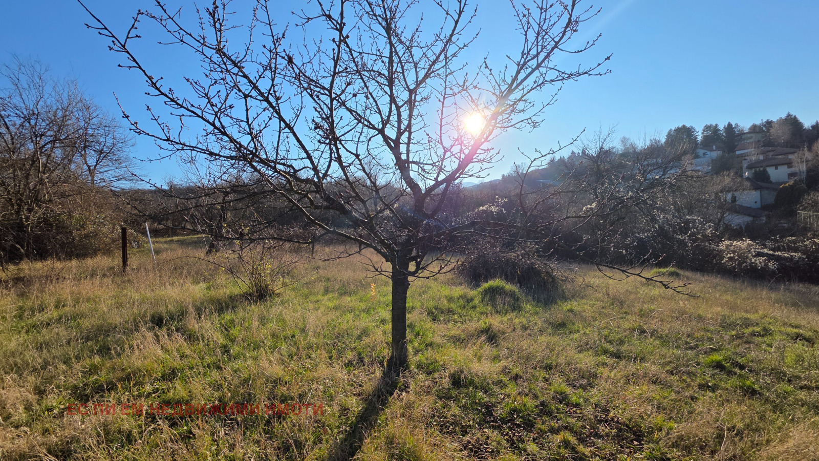 ������� ������ | Imot.bg � ����������� 4