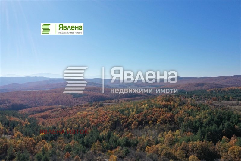 Продава ПАРЦЕЛ, с. Пауново, област София област, снимка 8 - Парцели - 54222058