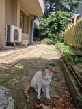 Продава  Къща град Бургас , Център , 36 кв.м | 10333751 - изображение [10]