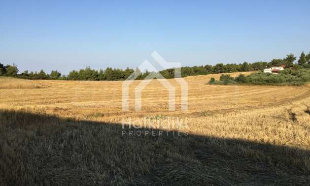 ������� ������ | Imot.bg � ����������� 10