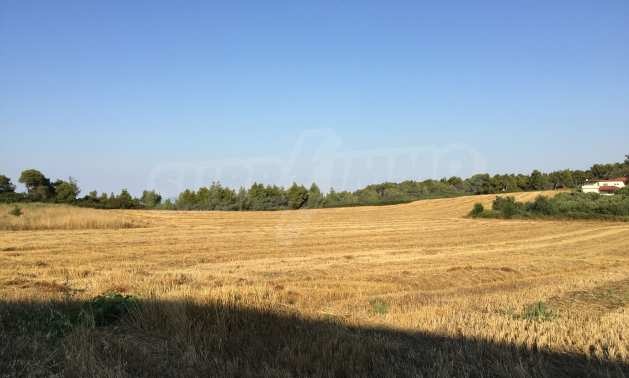 ������� ������ | Imot.bg � ����������� 3
