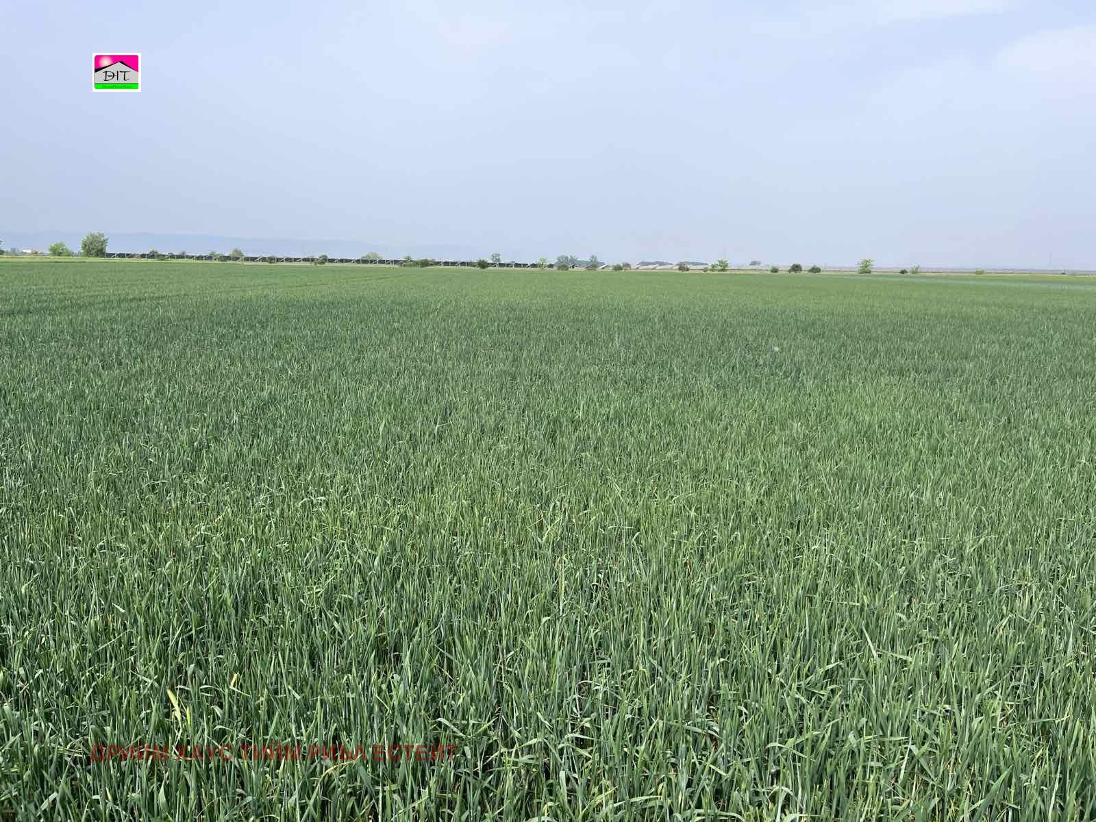 Продава ЗЕМЕДЕЛСКА ЗЕМЯ | Imot.bg — изображение 1