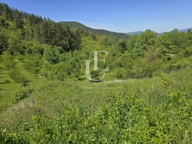 Plott Teteven, region Lovech