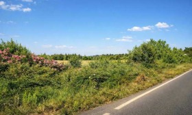 ������� ������ | Imot.bg � ����� ������ 10