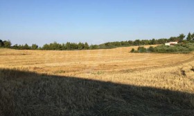 ������� ������ | Imot.bg � ����� ������ 5