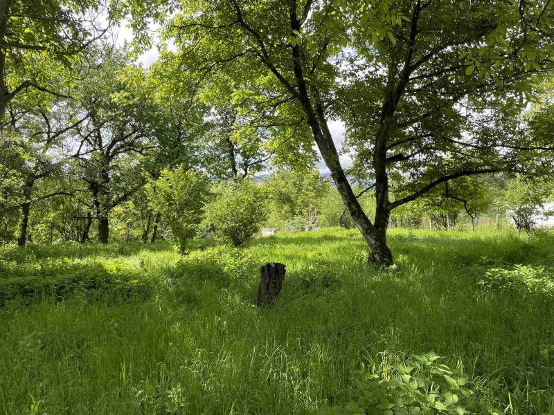 Til salg  Hus region Lovech , Golyama Zhelyazna , 124 kvm | 40985991 - billede [6]
