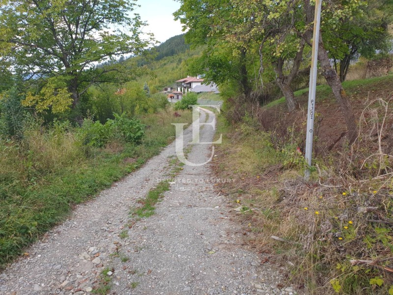 Til salgs  Plott region Lovech , Teteven , 16740 kvm | 33499726 - bilde [3]