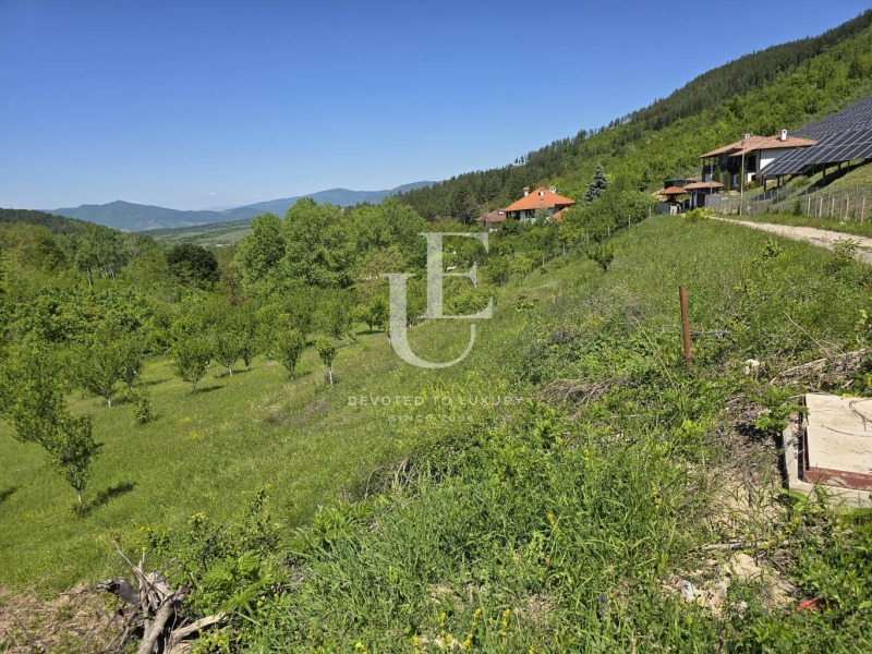 Til salgs  Plott region Lovech , Teteven , 16740 kvm | 33499726 - bilde [2]