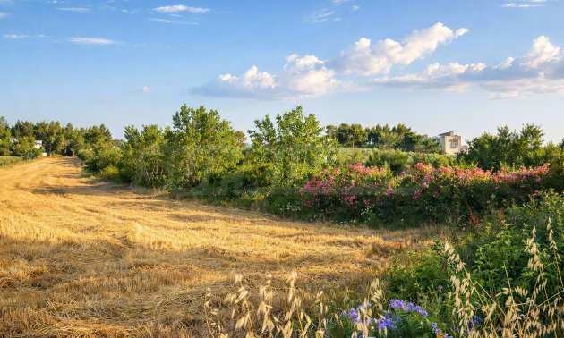 Продава ПАРЦЕЛ, Извън страната, област Извън страната