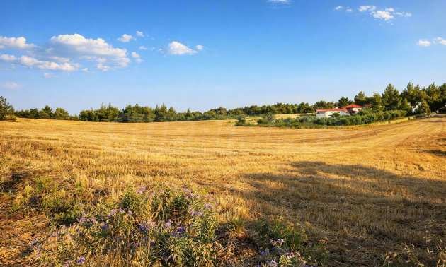 Продава ПАРЦЕЛ, Извън страната, област Извън страната, снимка 2 - Парцели - 54846581