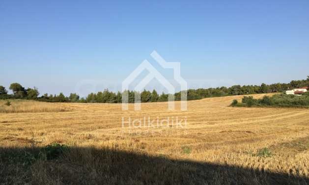 Продава ПАРЦЕЛ, Извън страната, област Извън страната, снимка 8 - Парцели - 54846581