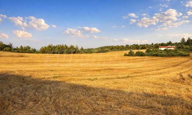 Продава ПАРЦЕЛ, Извън страната, област Извън страната, снимка 9 - Парцели - 54846581