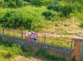 Продава  Парцел област Варна , с. Сава , 2445 кв.м | 57386737 - изображение [4]