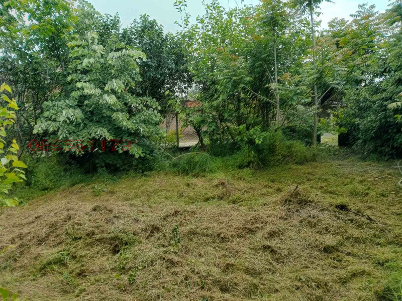 Til salgs  Hus region Pleven , Malsjika , 2400 kvm | 95217713 - bilde [3]
