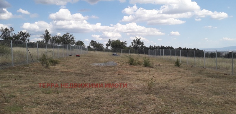 Na prodej  Spiknutí Sofia , Podgumer , 1000 m2 | 21819847 - obraz [4]