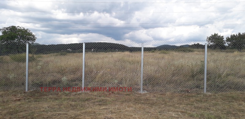 Na prodej  Spiknutí Sofia , Podgumer , 1000 m2 | 21819847 - obraz [2]