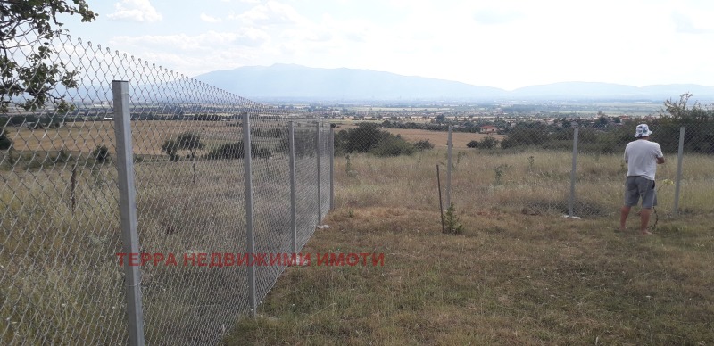 Na prodej  Spiknutí Sofia , Podgumer , 1000 m2 | 21819847