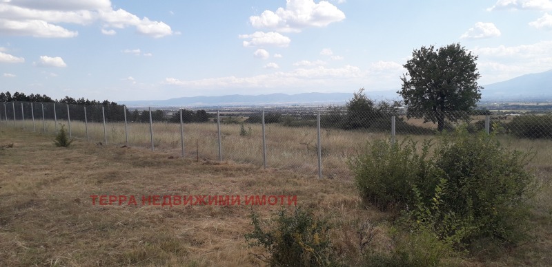 Na prodej  Spiknutí Sofia , Podgumer , 1000 m2 | 21819847 - obraz [3]