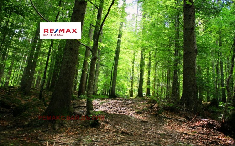 Продава ПАРЦЕЛ в град Варна, м-т Манастирски рид - 11000 кв.м / 75 000 € » 146 687.25 лв., РЕМАКС БАЙ ДЪ СИЙ