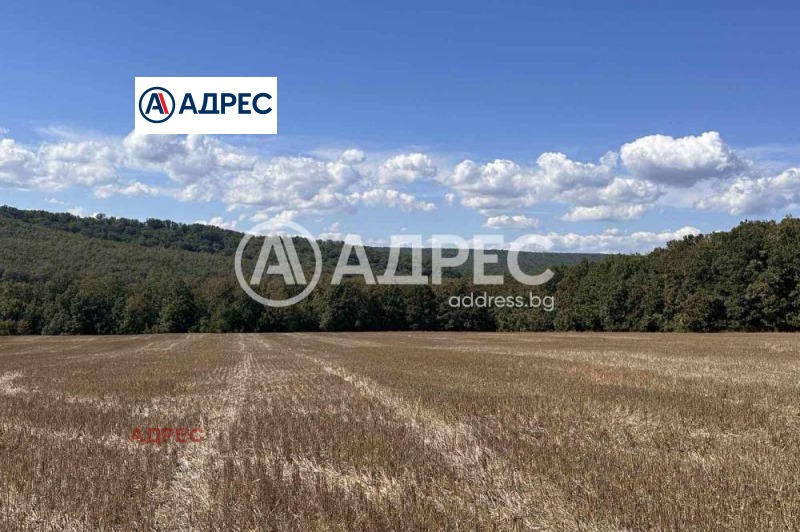 Eladó  Cselekmény régió Várna , Junec , 5400 négyzetméter | 81303212 - kép [2]