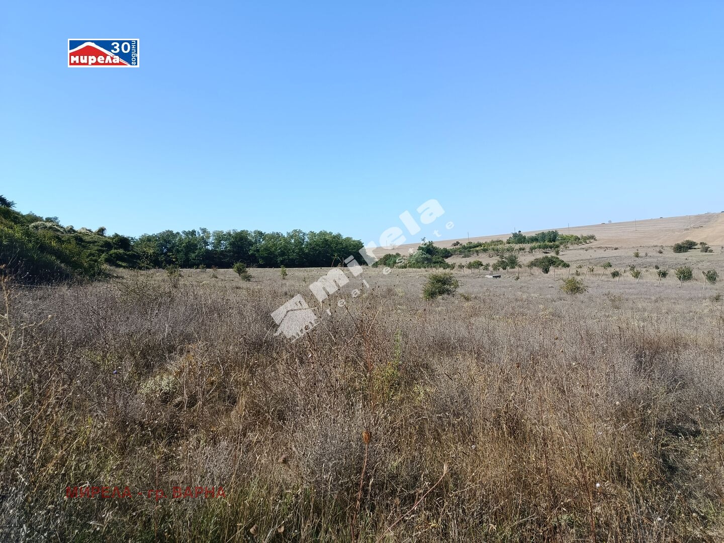 ������� ������ | Imot.bg � ����������� 3