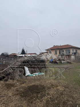 ����� ������� ����,�. ������ ����, ������ �������