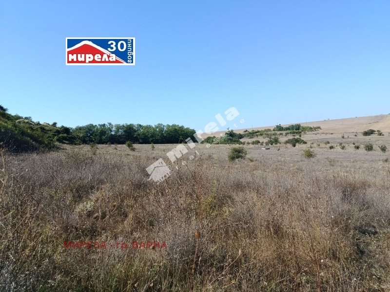 Продава ПАРЦЕЛ, с. Куманово, област Варна, снимка 3 - Парцели - 52797551