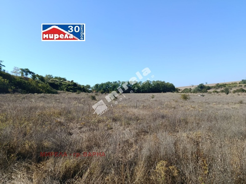 Продава ПАРЦЕЛ, с. Куманово, област Варна, снимка 2 - Парцели - 52797551