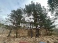 Продава ПАРЦЕЛ, град София, с. Владая • 62000 € / 121261.46 лв. • 95830508 4