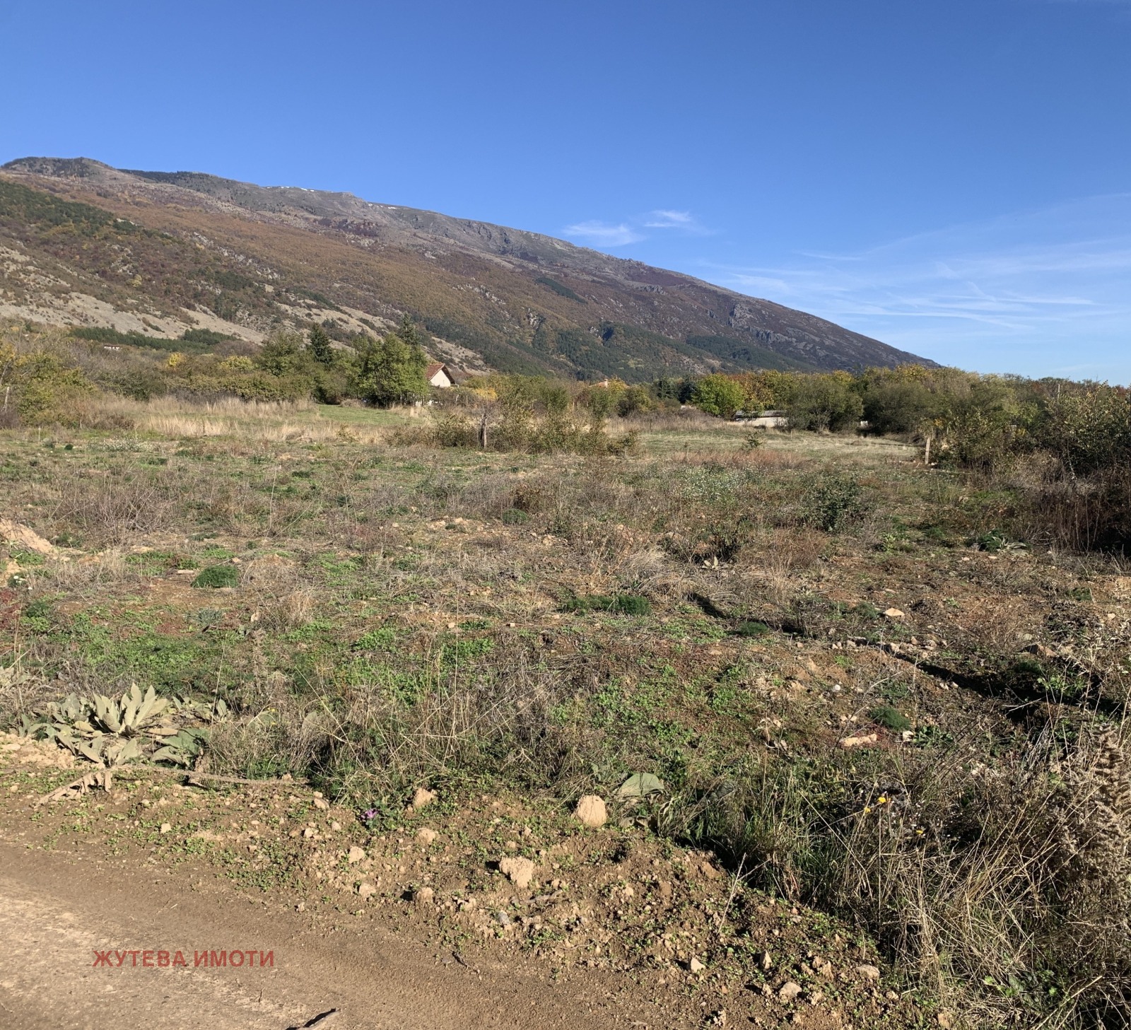 ������� ������ | Imot.bg � ����������� 4