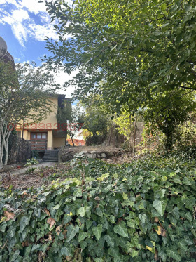 ����� ������� ����,���� �����, ��. �����