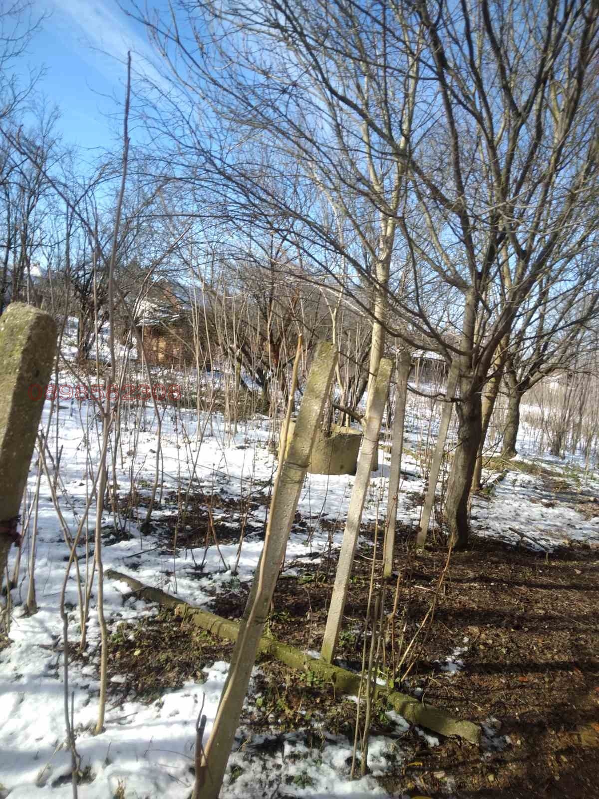 ������� ���� | Imot.bg � ����������� 10