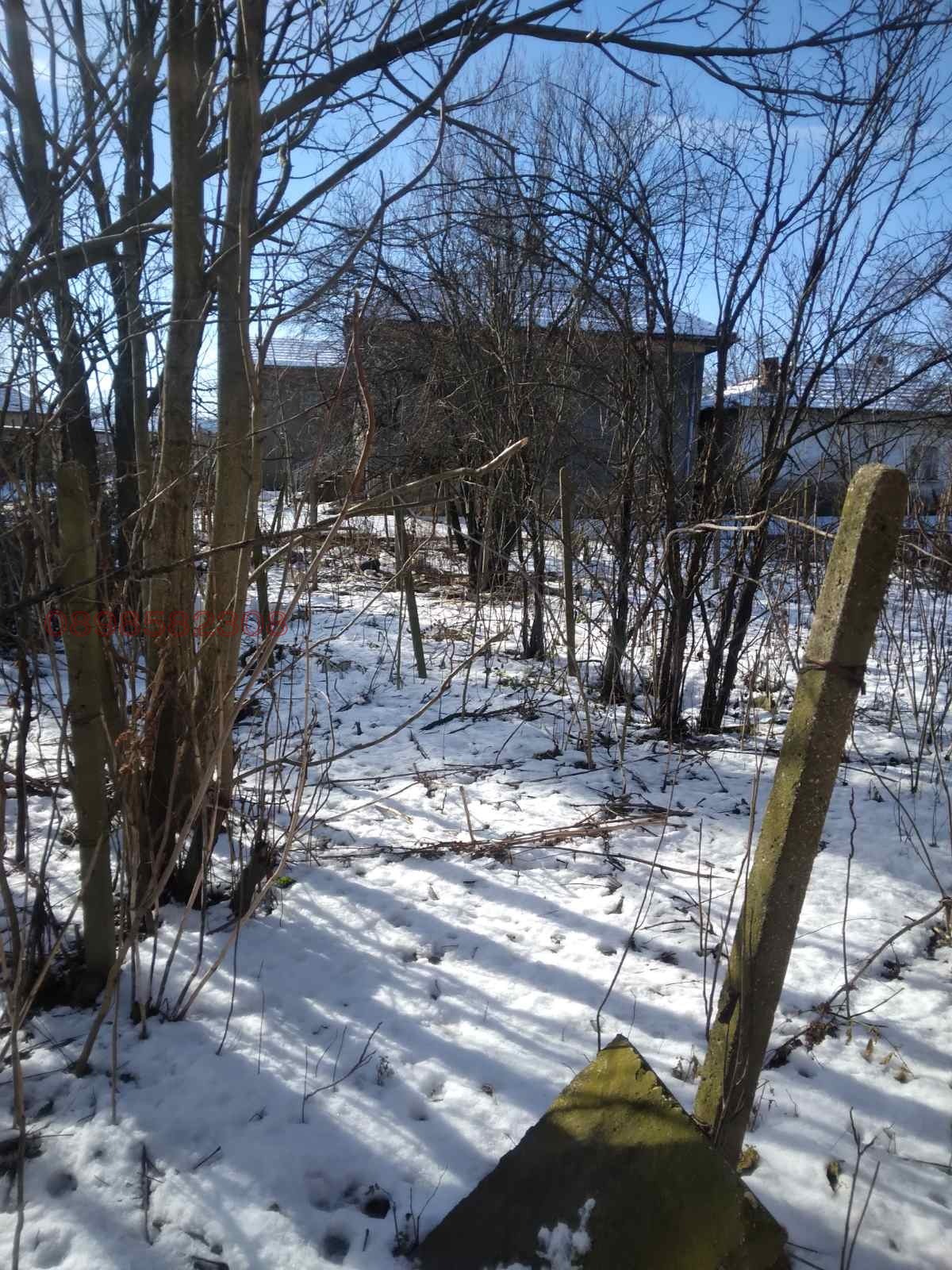 ������� ���� | Imot.bg � ����������� 11