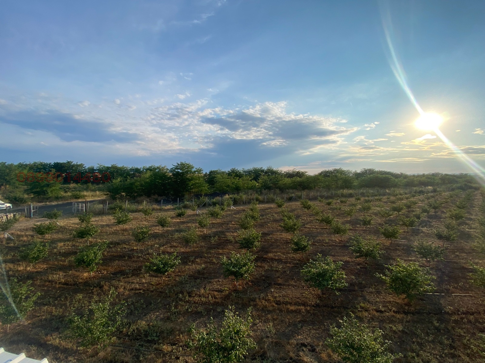 ������� ���������� ���� | Imot.bg � ����������� 2