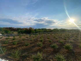 ������� ���������� ���� | Imot.bg � ����� ������ 2