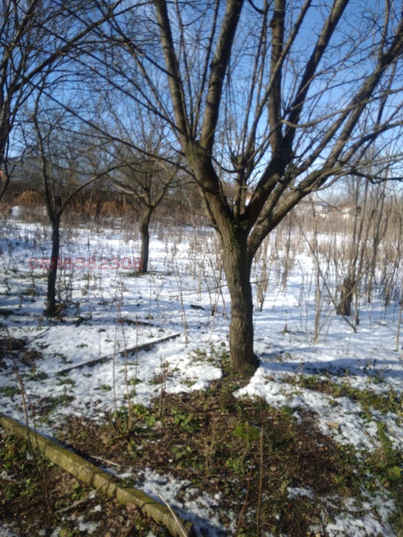 Продава КЪЩА, гр. Вълчедръм, област Монтана, снимка 6 - Къщи - 53447080