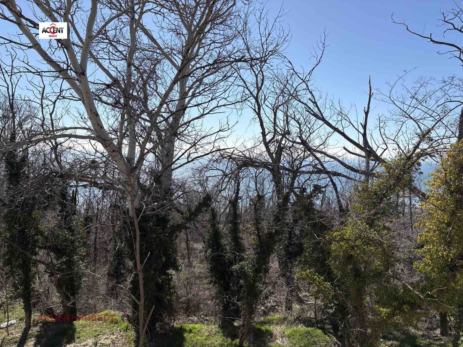 Продава 3-СТАЕН, гр. Варна, м-т Евксиноград, снимка 4 - Апартаменти - 50780899