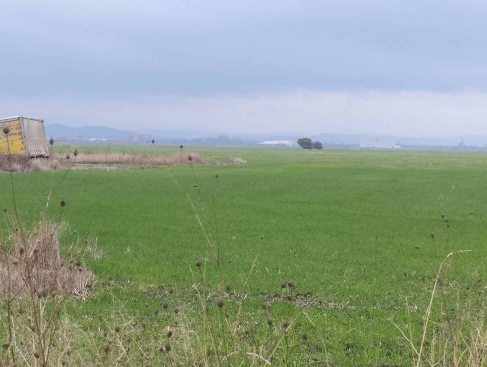 Продава ПАРЦЕЛ, с. Равно поле, област София област, снимка 3 - Парцели - 54913449
