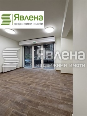 ����� ������� �������,���� �����, ������