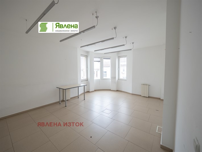 For Sale  3+ bedroom Sofia , Tsentar , 315 sq.m | 83804191 - image [4]