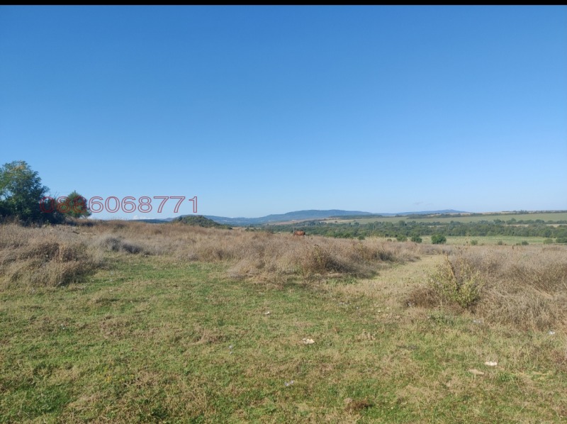 Продава ПАРЦЕЛ, с. Добри дял, област Велико Търново, снимка 2 - Парцели - 52780176