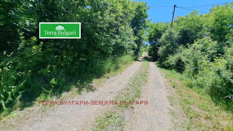 Myytävänä  Maa Pernikin alue , Dragitševo , 2 dka | 84831994 - kuva [2]